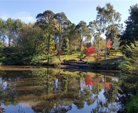 Bellbird Cottage - Accommodation Brunswick Heads 1