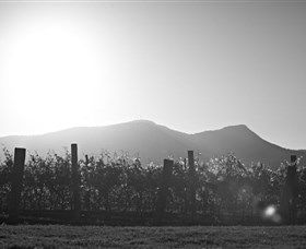 Scarborough Wine Co. - Accommodation Brunswick Heads 1