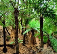 Pegarah Private Nature Reserve  Parenna Place - Accommodation Brunswick Heads