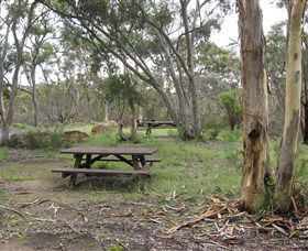 Box Vale Picnic Area - Accommodation Brunswick Heads 2