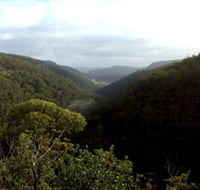 Nattai Gorge Lookout - Accommodation Brunswick Heads