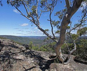 Nattai Gorge Lookout - Accommodation Brunswick Heads 1