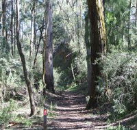 Box Vale Mine Walking Track and Lookout - Accommodation Brunswick Heads