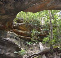 Cave Creek Walking Track - Accommodation Brunswick Heads