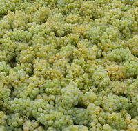 Normanby Wines - Accommodation Brunswick Heads