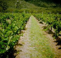 Gartelmann Wines - Accommodation Brunswick Heads