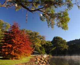 Lake Alexandra Reserve - Accommodation Brunswick Heads 1