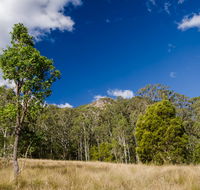 Brush Turkey track - Accommodation Brunswick Heads