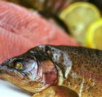 Lovedale Smokehouse Gourmet Pantry Cafe and Masterclasses - Accommodation Brunswick Heads