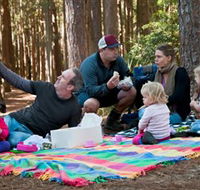 State Forests of the Watagan Mountains - Accommodation Brunswick Heads