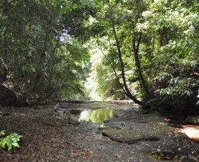 State Forests Of The Watagan Mountains - Accommodation Brunswick Heads 1