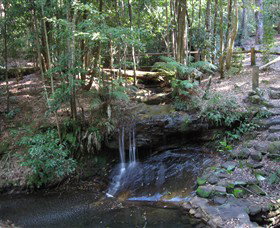 State Forests Of The Watagan Mountains - Accommodation Brunswick Heads 3