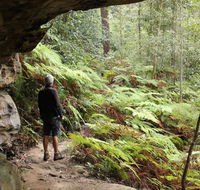 Dharug National Park - Accommodation Brunswick Heads