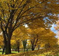 Centennial Park at Cooma - Accommodation Brunswick Heads