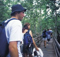 Bellthorpe National Park - Accommodation Brunswick Heads