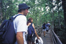 Bellthorpe National Park - Accommodation Brunswick Heads 0