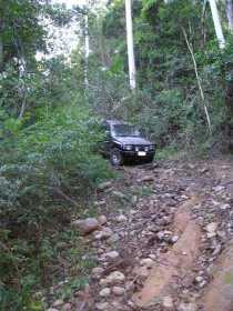 Bellthorpe National Park - Accommodation Brunswick Heads 3