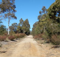 Werakata National Park - Accommodation Brunswick Heads