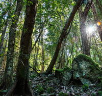 Copeland Tops State Conservation Area - Accommodation Brunswick Heads