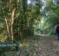 Basin Loop track - Accommodation Brunswick Heads