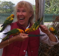 Maleny Botanic Gardens  Bird World - Accommodation Brunswick Heads