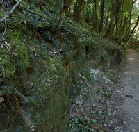 Hidden Treasure track - Accommodation Brunswick Heads