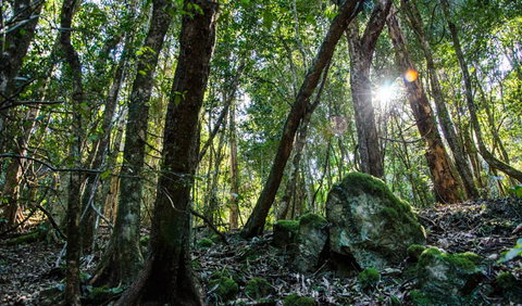 Hidden Treasure Track - Accommodation Brunswick Heads 1