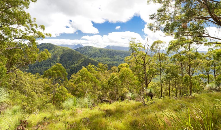 Roseberry NSW Accommodation Brunswick Heads