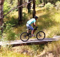 The Steps Mountain Bike Park - Accommodation Brunswick Heads