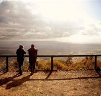 Heaton State Forest - Watagan Mountains - Accommodation Brunswick Heads