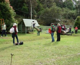 Forest Of Tranquillity - Australian Rainforest Sanctuary - Accommodation Brunswick Heads 0