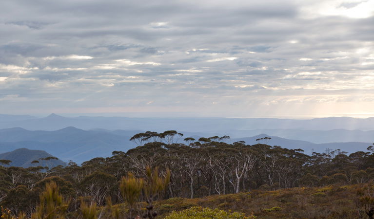 Budawang NSW Accommodation Brunswick Heads