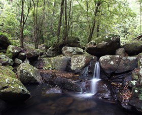 Kangaroo River - Accommodation Brunswick Heads 0