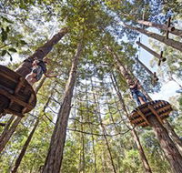 TreeTop Adventure Park Central Coast - Accommodation Brunswick Heads