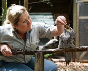 Walkabout Creek - Accommodation Brunswick Heads 0