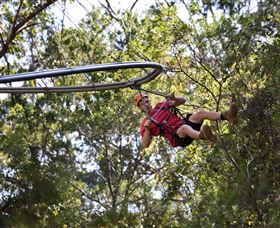 TreeTops Crazy Rider - Accommodation Brunswick Heads 1