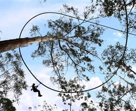 TreeTops Crazy Rider - Accommodation Brunswick Heads 0