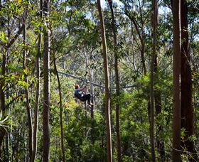 TreeTops Crazy Rider - Accommodation Brunswick Heads 3