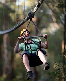 TreeTops Crazy Rider - Accommodation Brunswick Heads 2