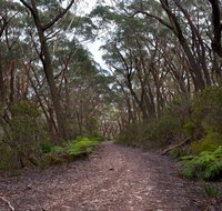 Budawang National Park - Accommodation Brunswick Heads