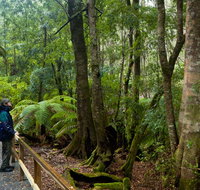 Monga National Park - Accommodation Brunswick Heads