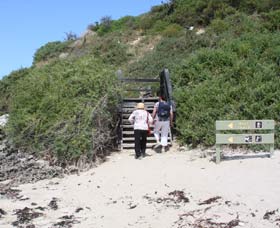 Penguin Island Boardwalks And Walk Trail - Accommodation Brunswick Heads 2