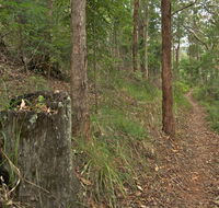Border loop walk - Accommodation Brunswick Heads