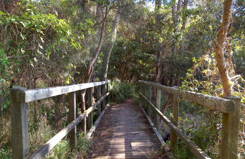 Lake Macquarie State Conservation Area - Accommodation Brunswick Heads 2