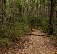 Pigeon House Mountain Didthul walking track - Accommodation Brunswick Heads