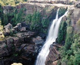 Minnamurra Rainforest Centre: Budderoo National Park - Accommodation Brunswick Heads 0