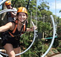 Wild Ropes at Taronga Zoo - Accommodation Brunswick Heads