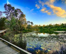 Berrinba Wetlands - Accommodation Brunswick Heads 0