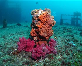 HMAS Brisbane Dive Site - Accommodation Brunswick Heads 0