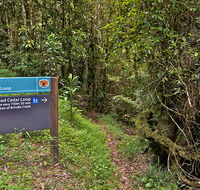 Red Cedar loop - Accommodation Brunswick Heads